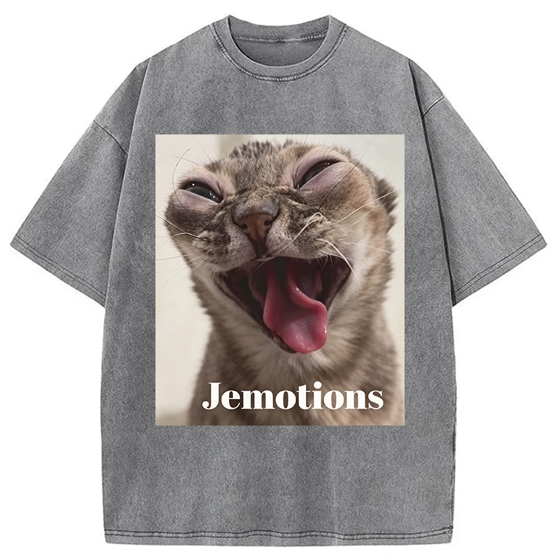 Modecanvas Jemotions Cat Meme DTG Printing Washed T-Shirt