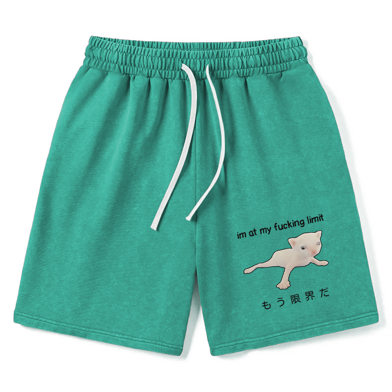 Modecanvas Cat Reaching Its Limit Washed Short