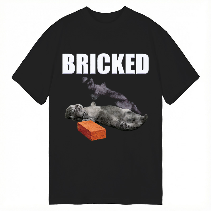 Modecanvas Bricked Funny Cat Knocked Out DTG Printing Classic T-Shirt-modecanvas