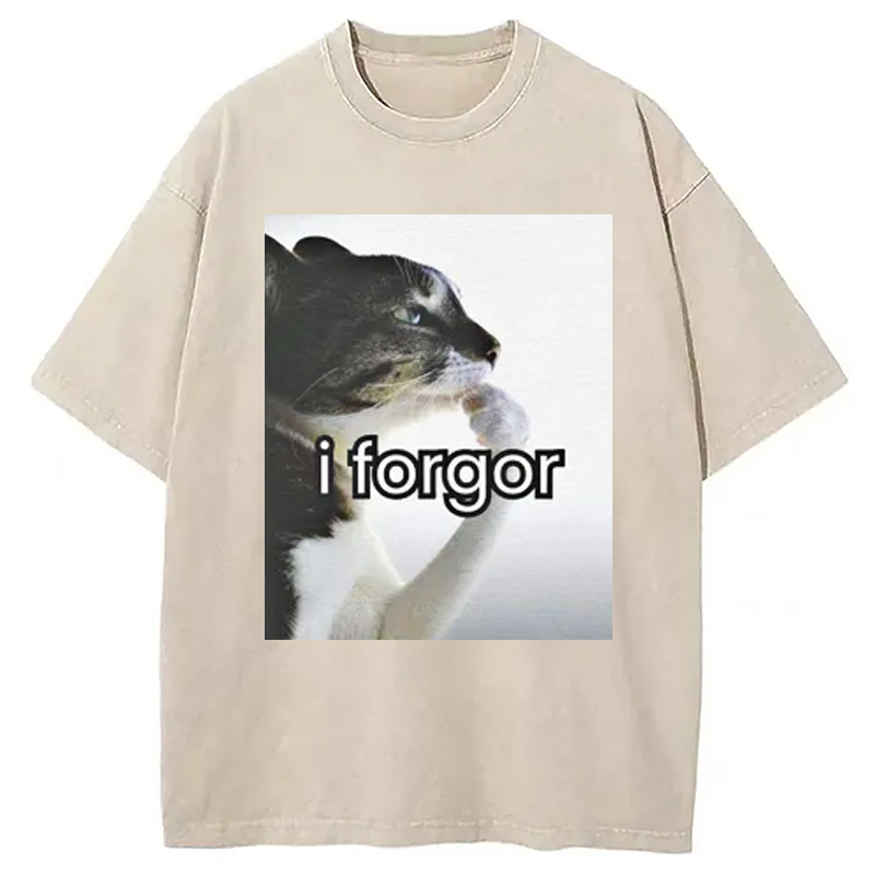 Modecanvas I Forgor Cat Meme Washed T-Shirt