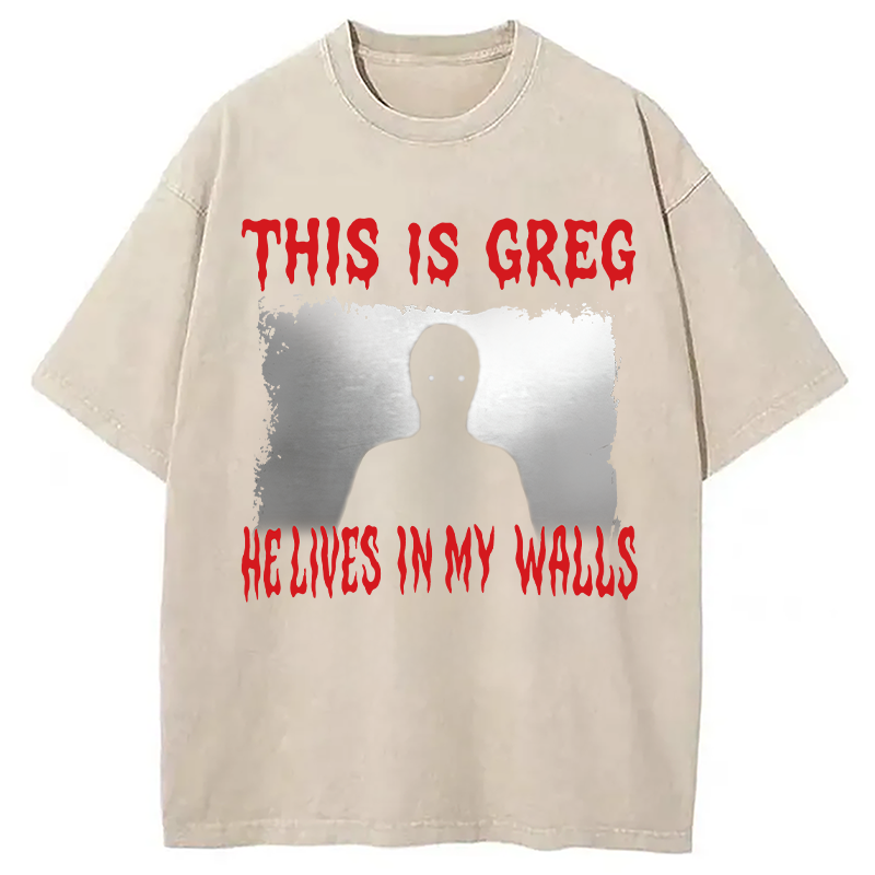 Modecanvas This Is Greg Funny Schizo Meme DTG Printing Washed T-Shirt-modecanvas