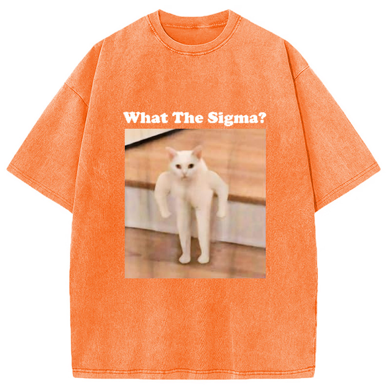 Modecanvas What Sigma Cat Meme Washed T-Shirt