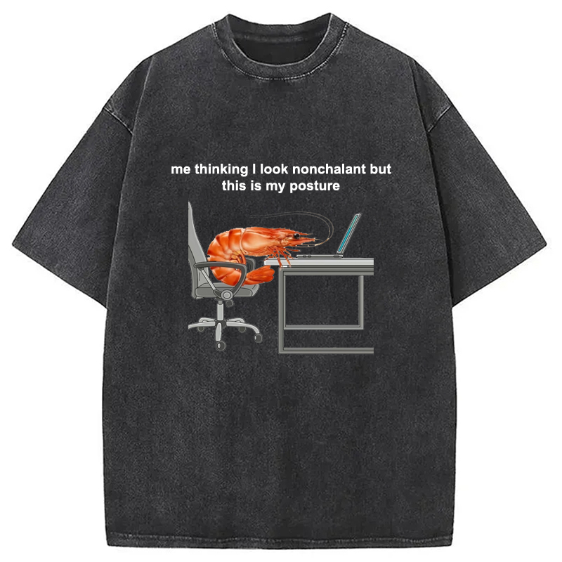 Modecanvas This Is My Posture Washed T-Shirt