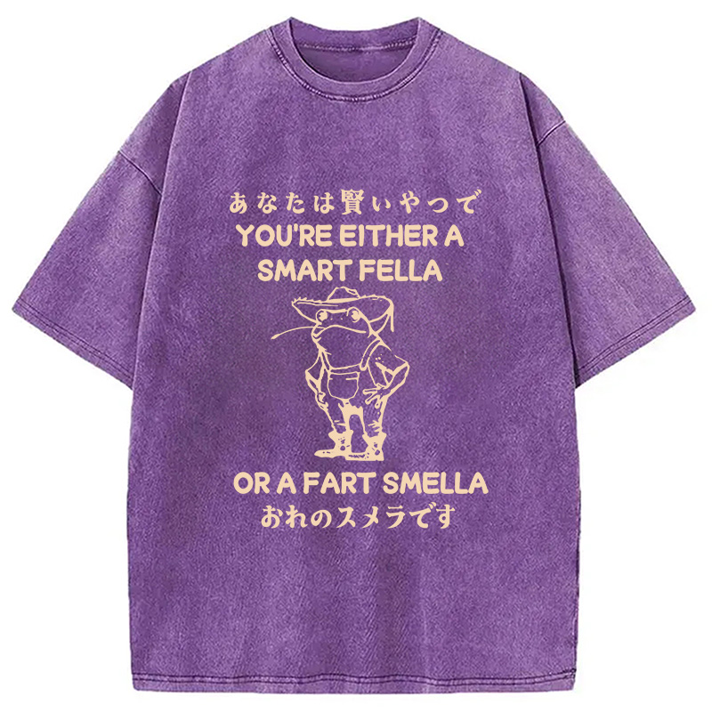Modecanvas Are You A Smart Fella Or Fart Smella Washed T-Shirt-modecanvas