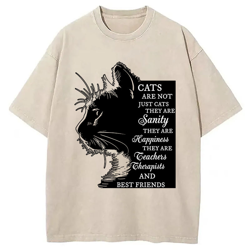 Modecanvas Cat Best Friend DTG Printing Washed T-Shirt