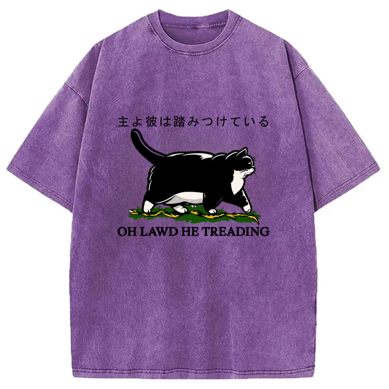 Modecanvas Oh Lawd He Treading Tuxedo Cat Washed T-Shirt