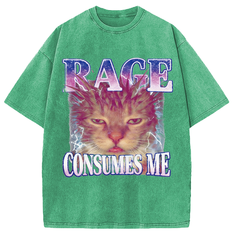 Modecanvas Rage Consumes Me Cat Funny Pet Meme DTG Printing Washed T-Shirt