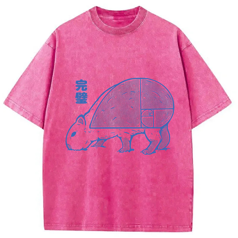 Modecanvas Capy Perfect Butt DTG Printing Washed T-Shirt