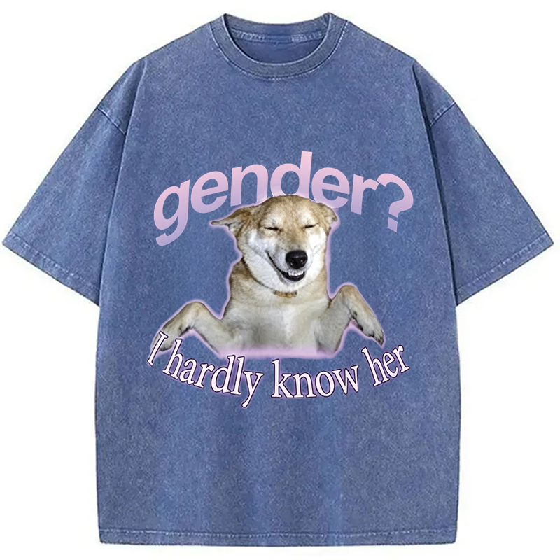 Modecanvas Gender I Hardly Know Her Meme DTG Printing Washed T-Shirt