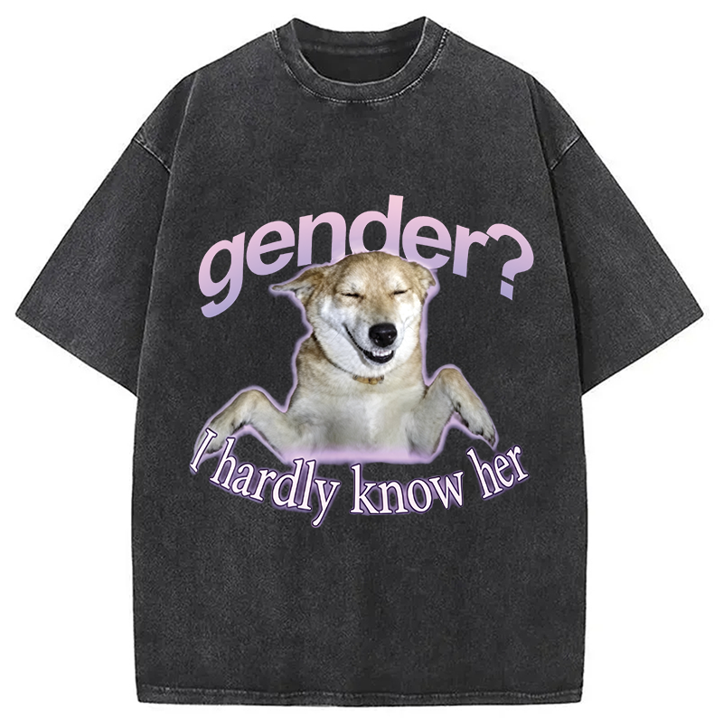 Modecanvas Gender I Hardly Know Her Meme DTG Printing Washed T-Shirt