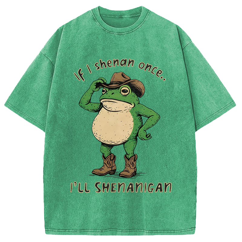 Modecanvas If I Shenan Once Funny Meme Washed T-Shirt-modecanvas