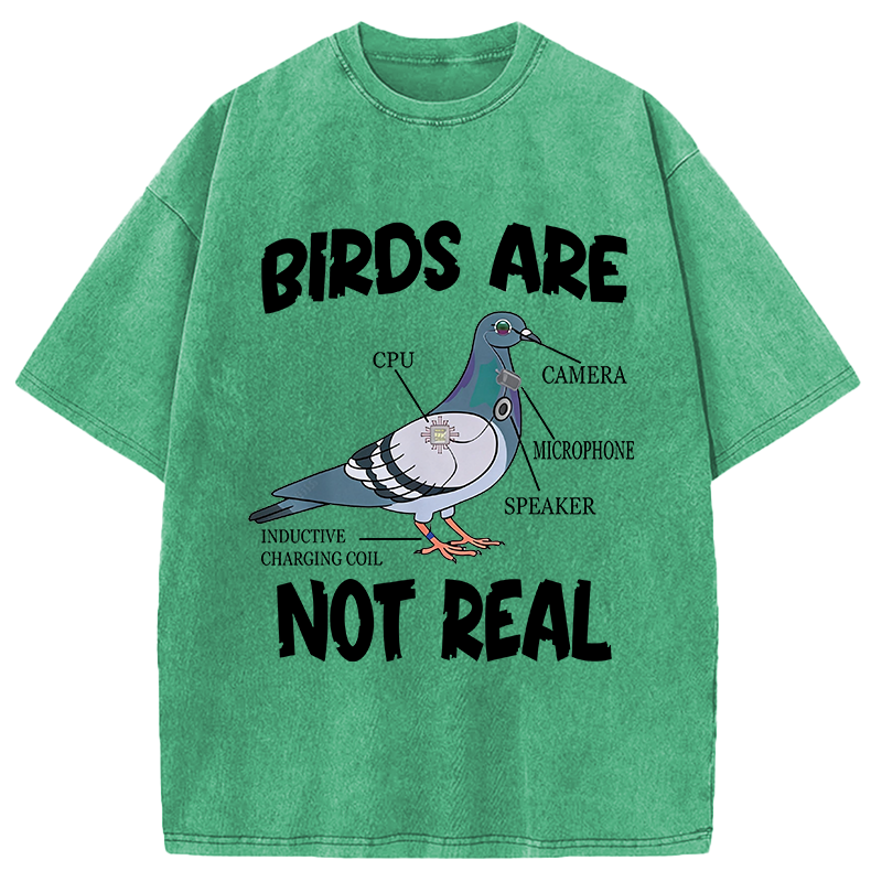 Modecanvas Pigeon Birds Are Not Real Funny DTG Printing Washed T-Shirt