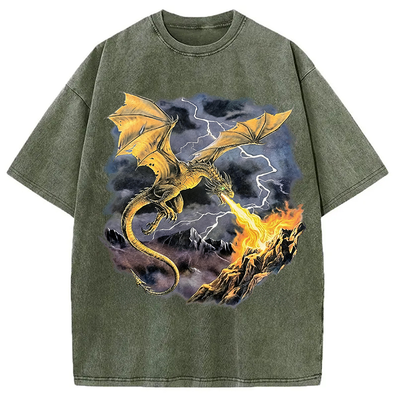 Modecanvas Vintage Dragon DTG Printing Washed T-Shirt