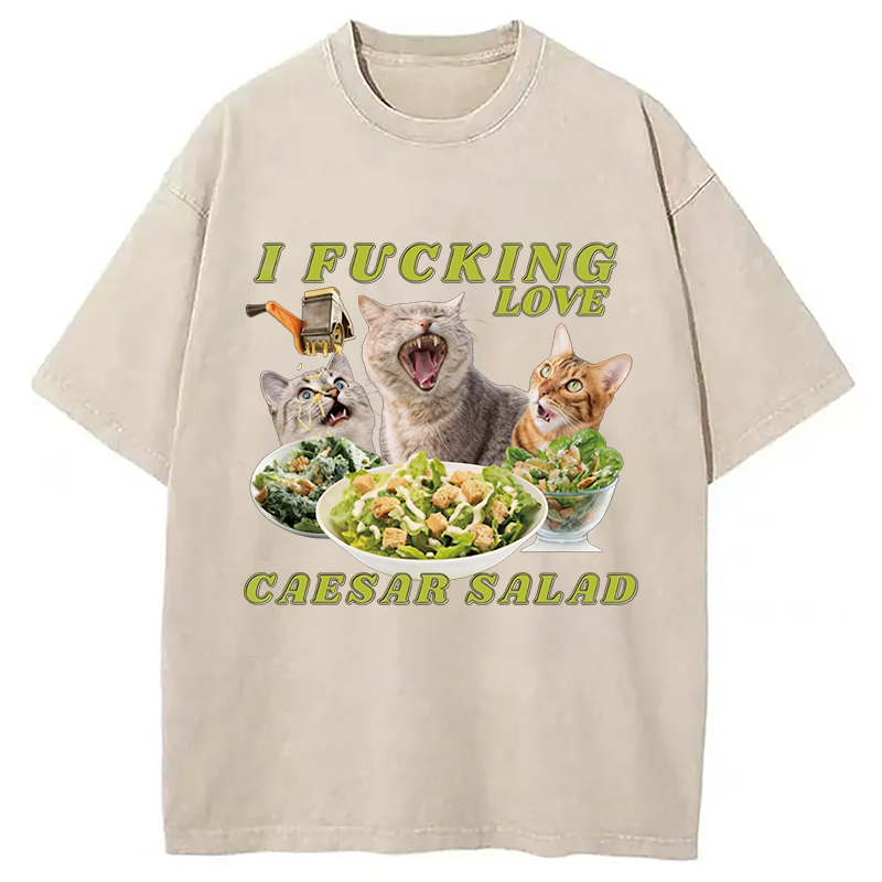 Modecanvas I Fucking Love Caesar Salad Cat Meme DTG Printing Washed T-Shirt