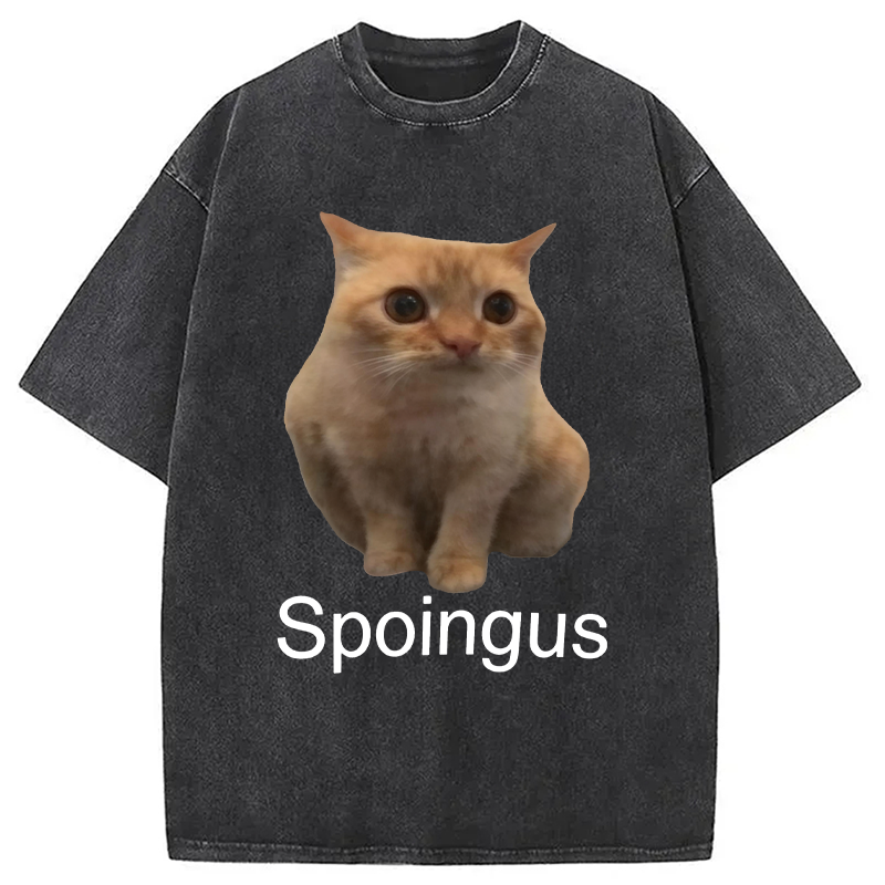 Modecanvas Spoingus The Cat Meme DTG Printing Washed T-Shirt