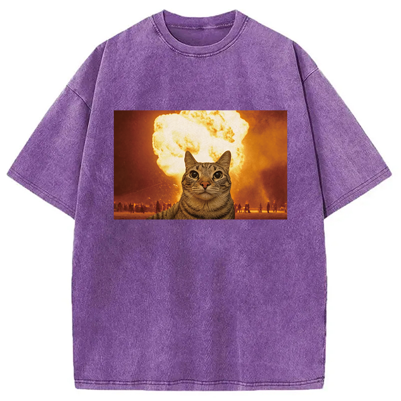 Modecanvas Cat Explosion Brain Rot DTG Printing Washed T-Shirt