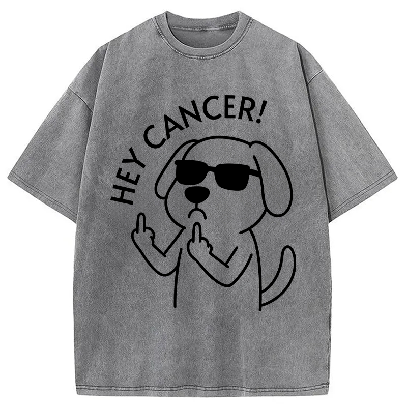 Modecanvas Hey Dog Cancer DTG Printing Washed T-Shirt
