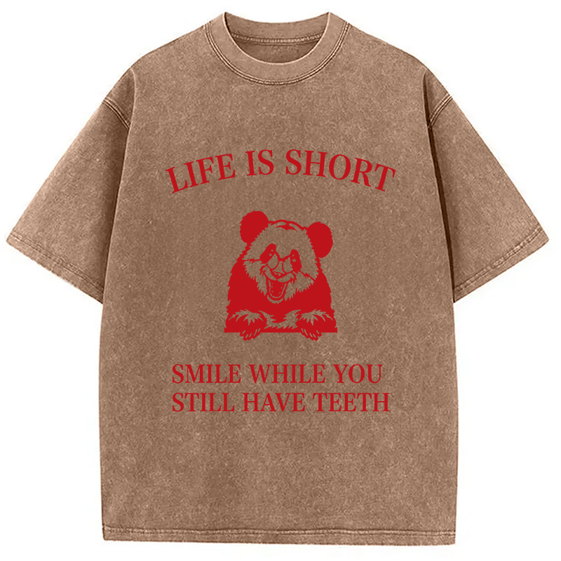 Modecanvas Funny Panda Ironic DTG Printing Washed T-Shirt