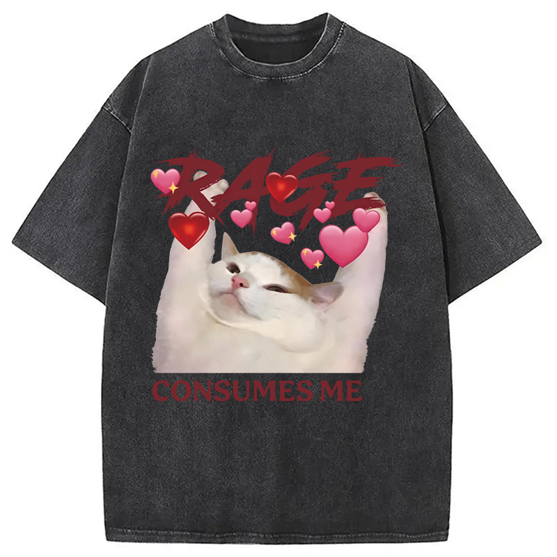 Modecanvas Rage Consumes Me Funny Cat Meme DTG Printing Washed T-Shirt