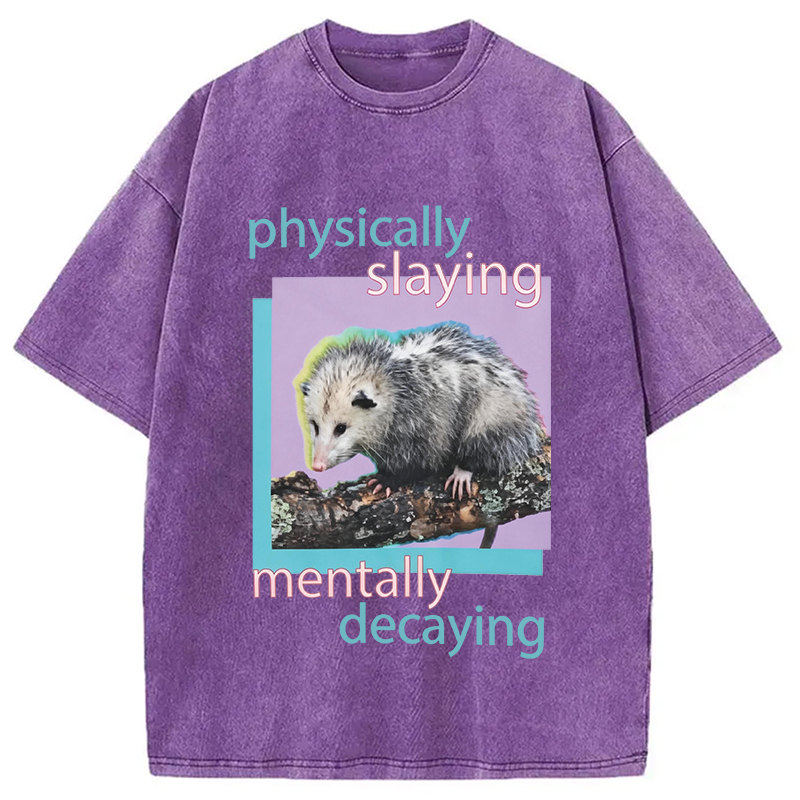 Modecanvas Physically Slaying Mentally Decaying DTG Printing Washed T-Shirt