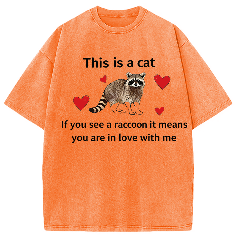 Modecanvas If You See A Raccoon DTG Printing Washed T-Shirt