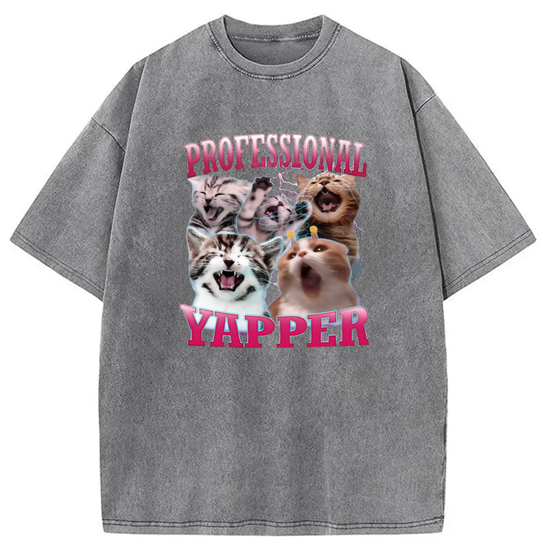 Modecanvas Professional Yapper Cat Washed T-Shirt