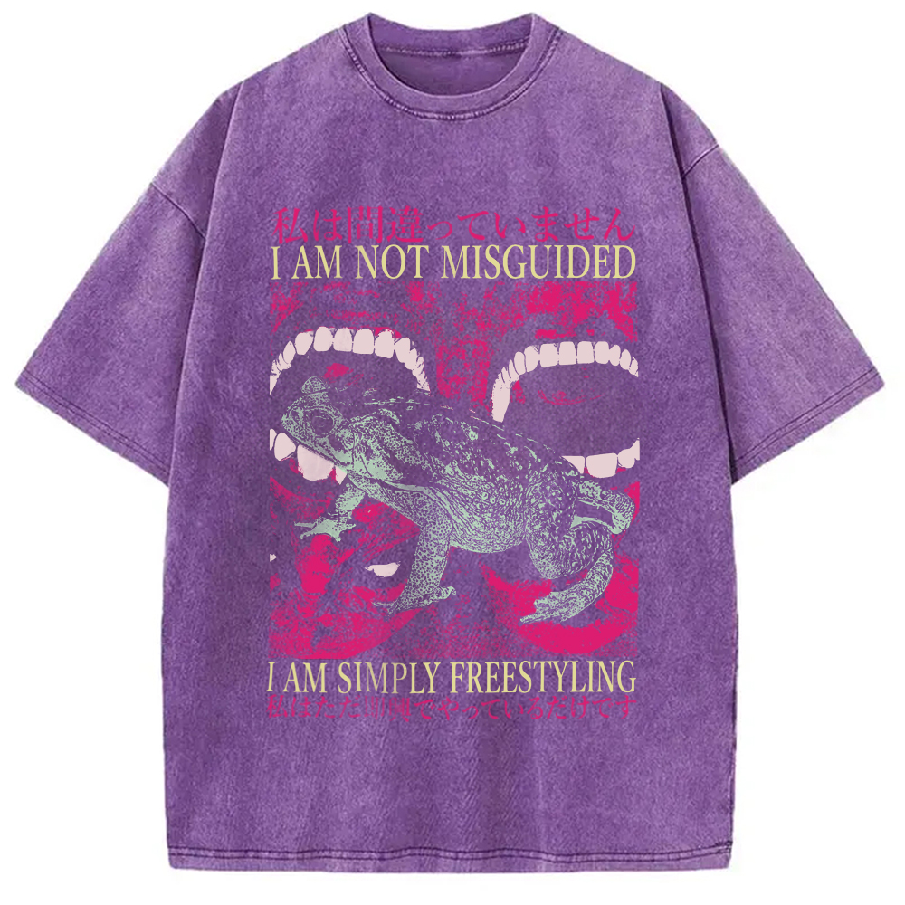 Modecanvas I Am Not Misguided Vintage Japanese Frog  Washed T-Shirt