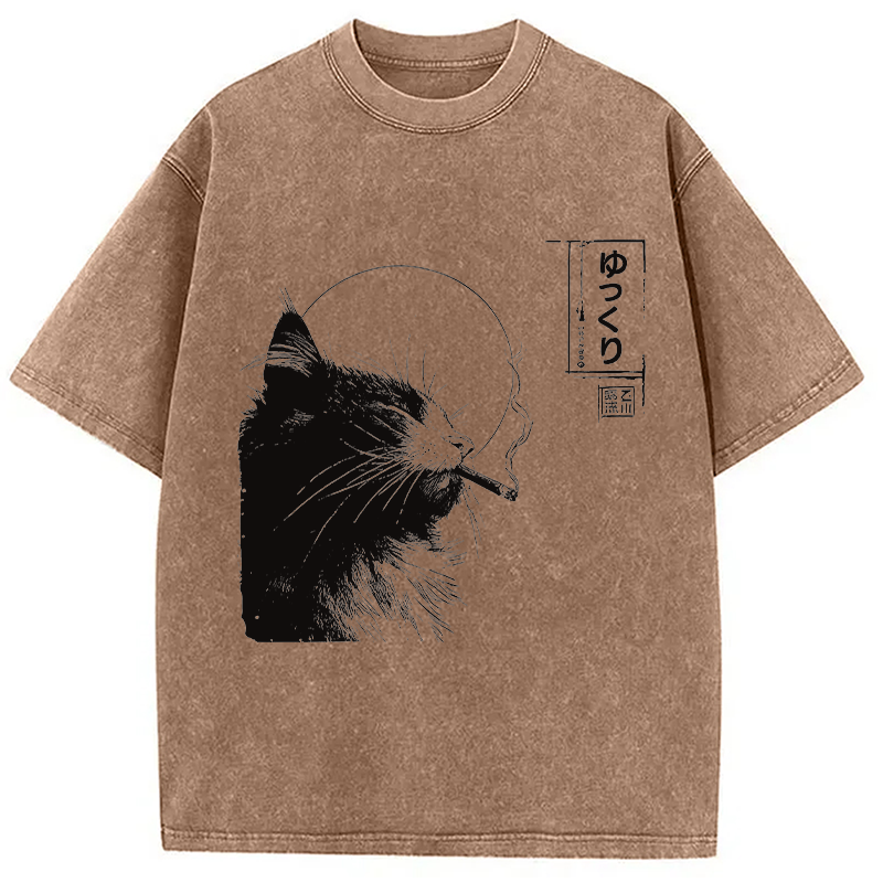 Modecanvas Stay Chill Smoking Cat DTG Printing Washed T-Shirt-modecanvas