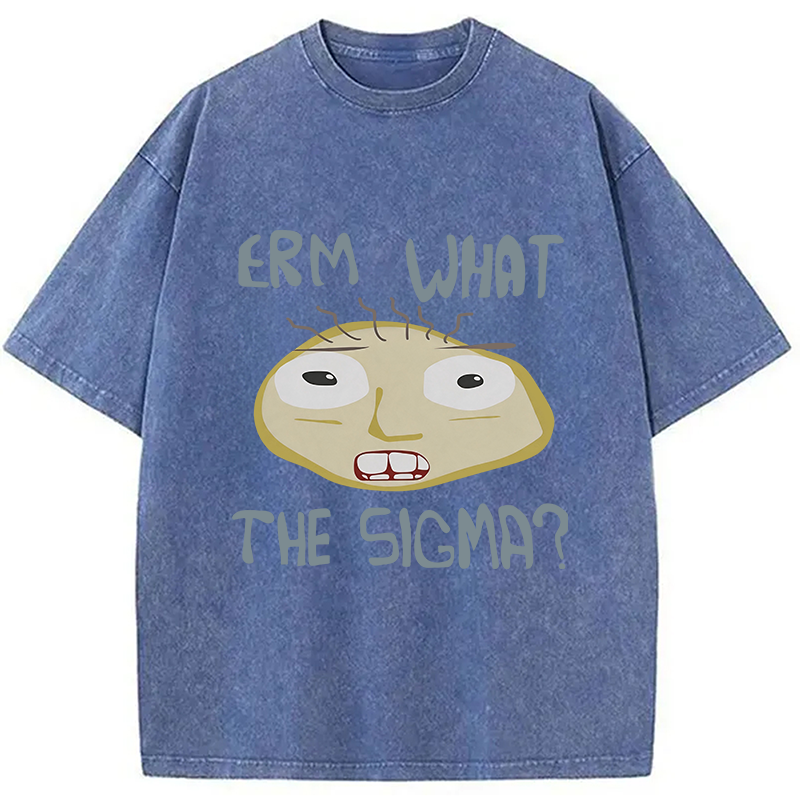 Modecanvas Erm What the Sigma Meme DTG Printing Washed T-Shirt