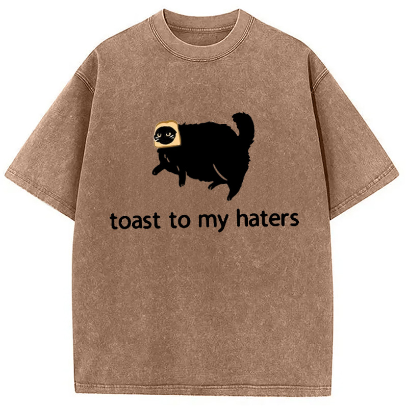 Modecanvas Toast To My Haters Washed T-Shirt