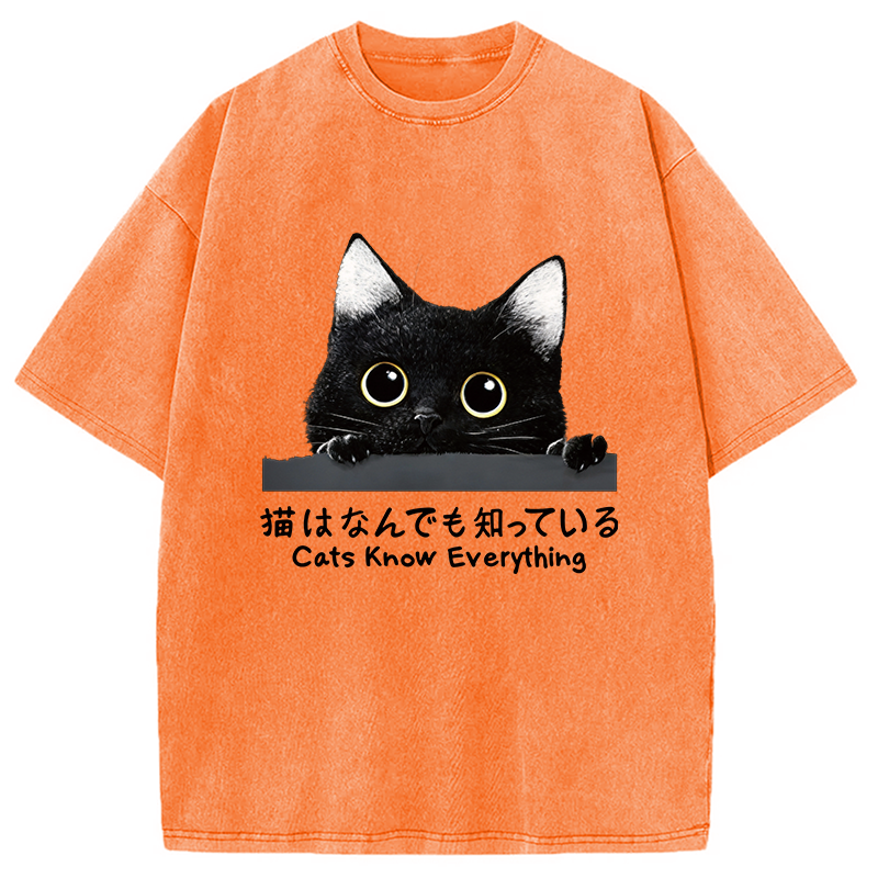 Modecanvas Cats Know Everything DTG Printing Washed T-Shirt-modecanvas