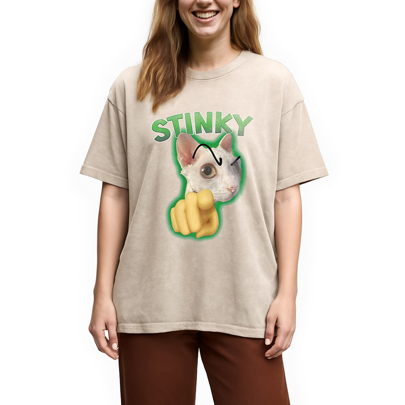 Modecanvas Stinky Funny Cat Meme DTG Printing Washed T-Shirt