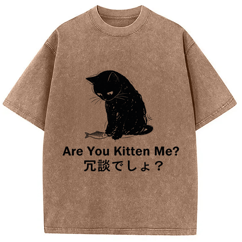 Modecanvas Are You Kitten Me DTG Printing Washed T-Shirt