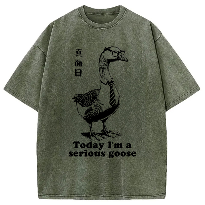 Modecanvas Serious Goose Washed T-Shirt