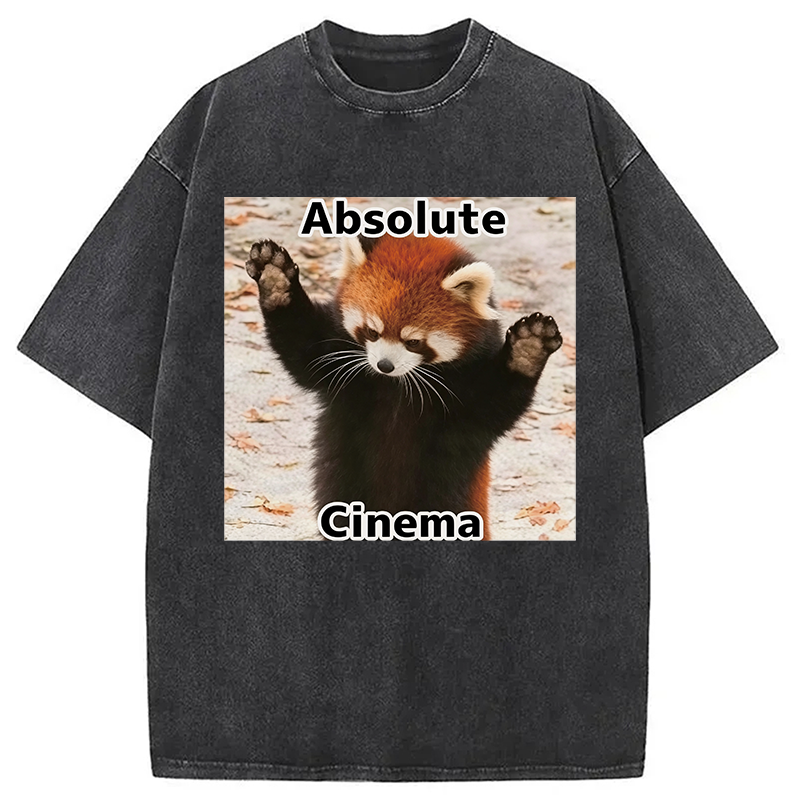 Modecanvas Absolute Cinema DTG Printing Washed T-Shirt