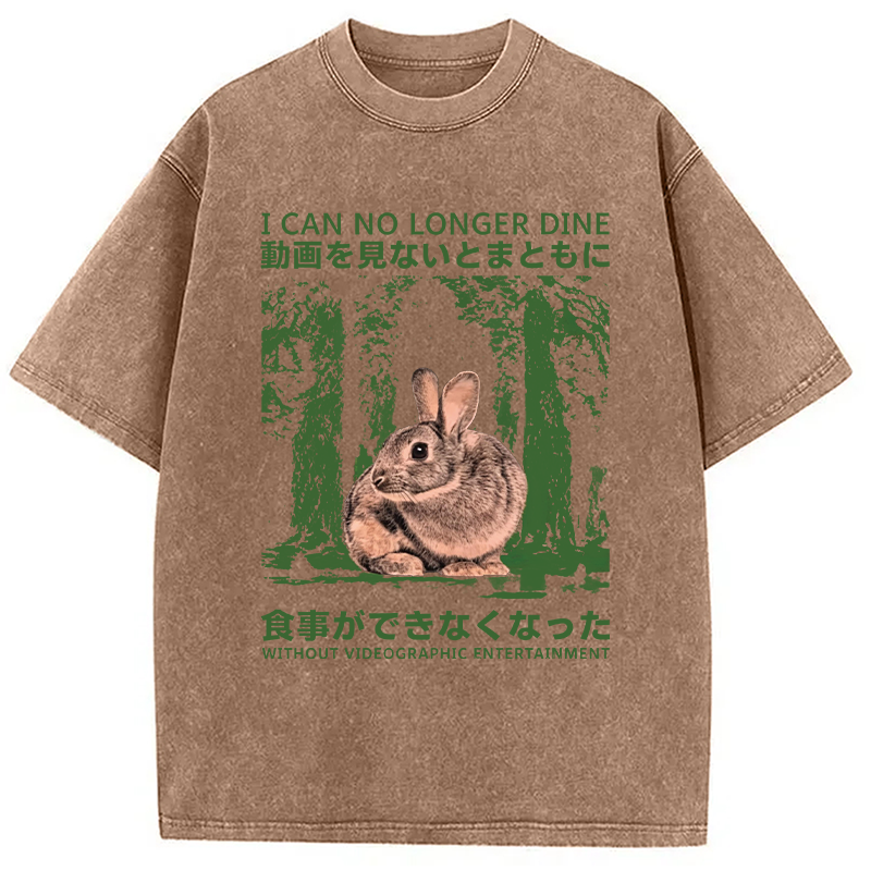 Modecanvas Vintage Japanese Horror Bunny DTG Printing Washed T-Shirt