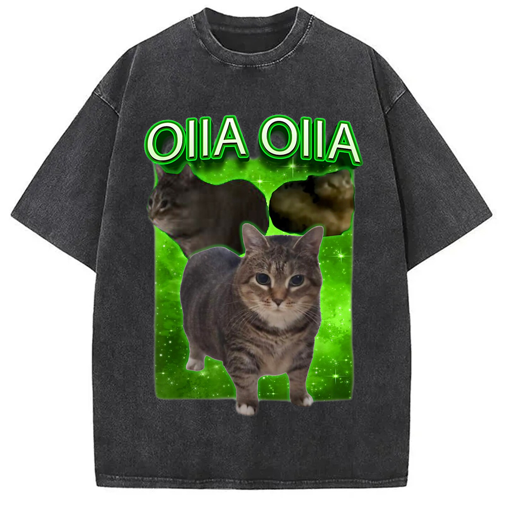 Modecanvas Oiia Cat Funny Meme Washed T-Shirt-modecanvas