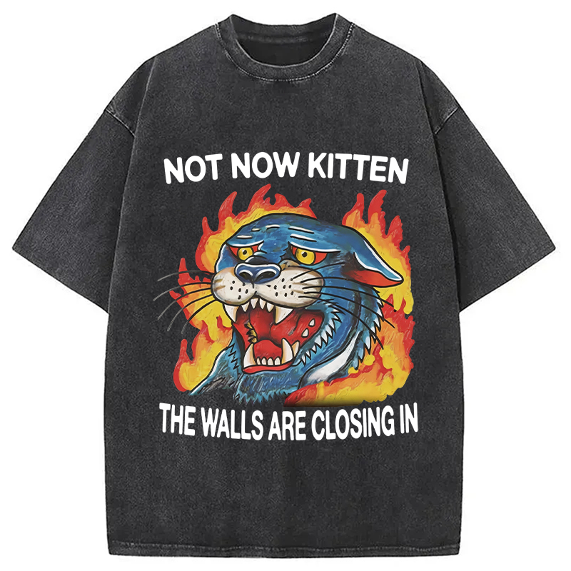 Modecanvas Not Now Kitten DTG Printing Washed T-Shirt