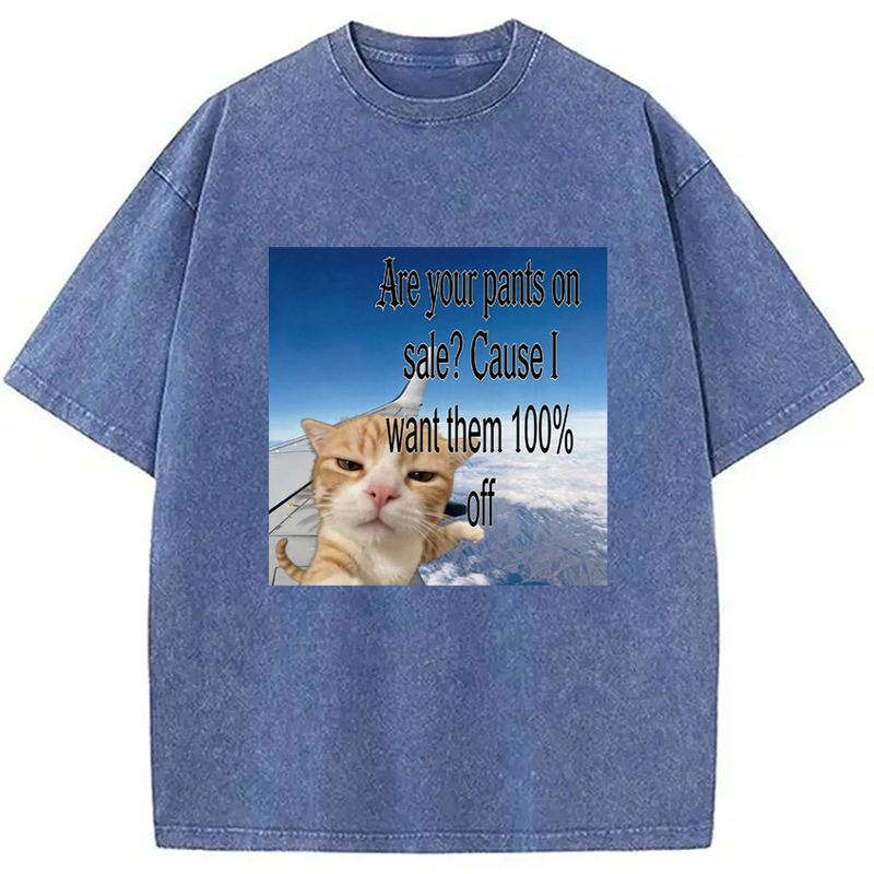 Modecanvas Are Your Pants On Sale? Cause I Want Them 100% Off DTG Printing Washed T-Shirt
