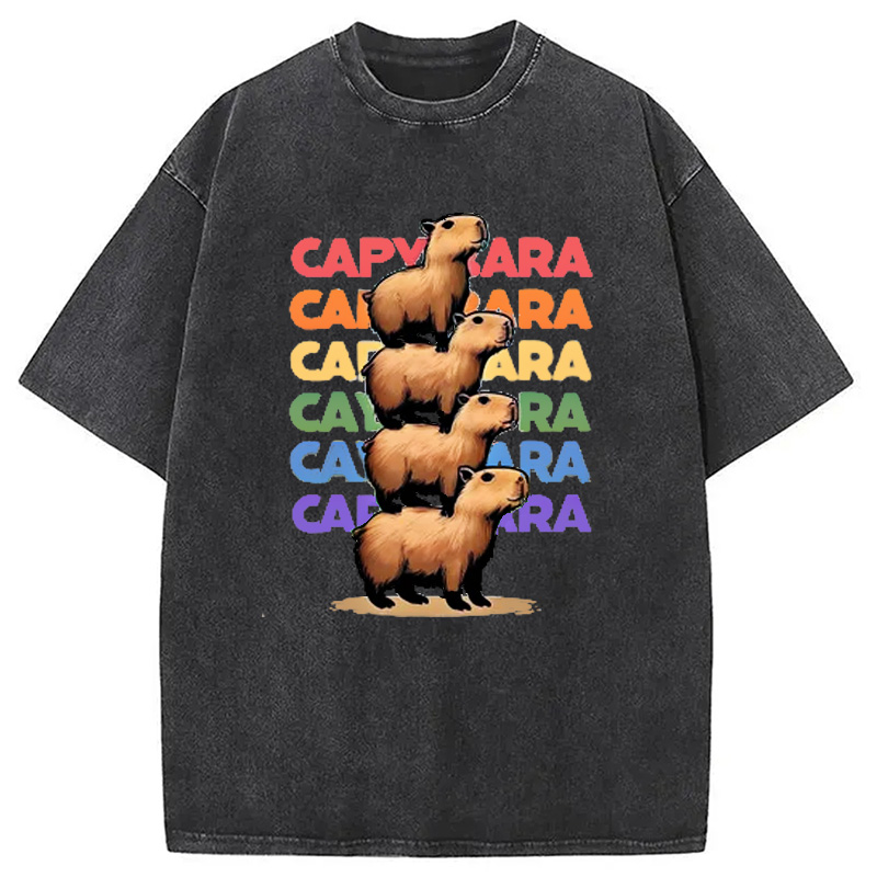 Modecanvas Funny Capybara Washed T-Shirt