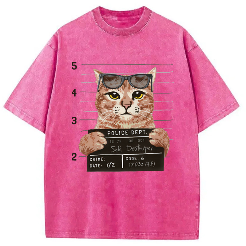 Modecanvas Cat Holding Mugshot Arrested Washed T-Shirt