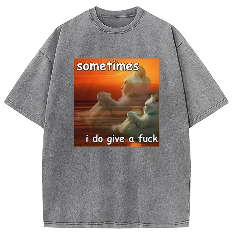 Modecanvas Sometimes I Do Give A Fxck Meme Washed T-Shirt