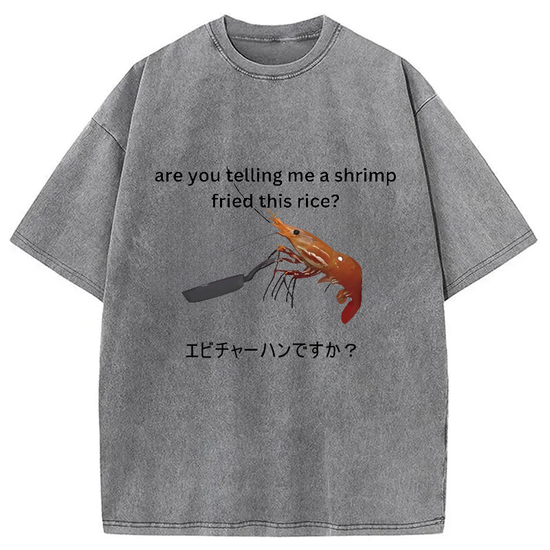 Modecanvas Are You Telling Me a Shrimp Fried This Rice Washed T-Shirt