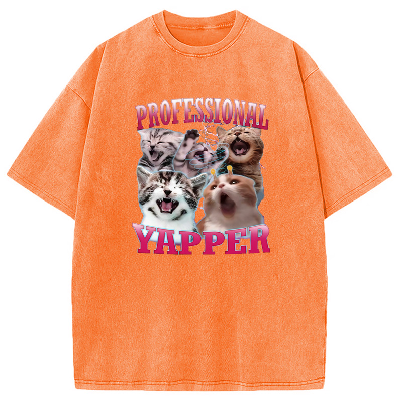 Modecanvas Professional Yapper Cat Washed T-Shirt
