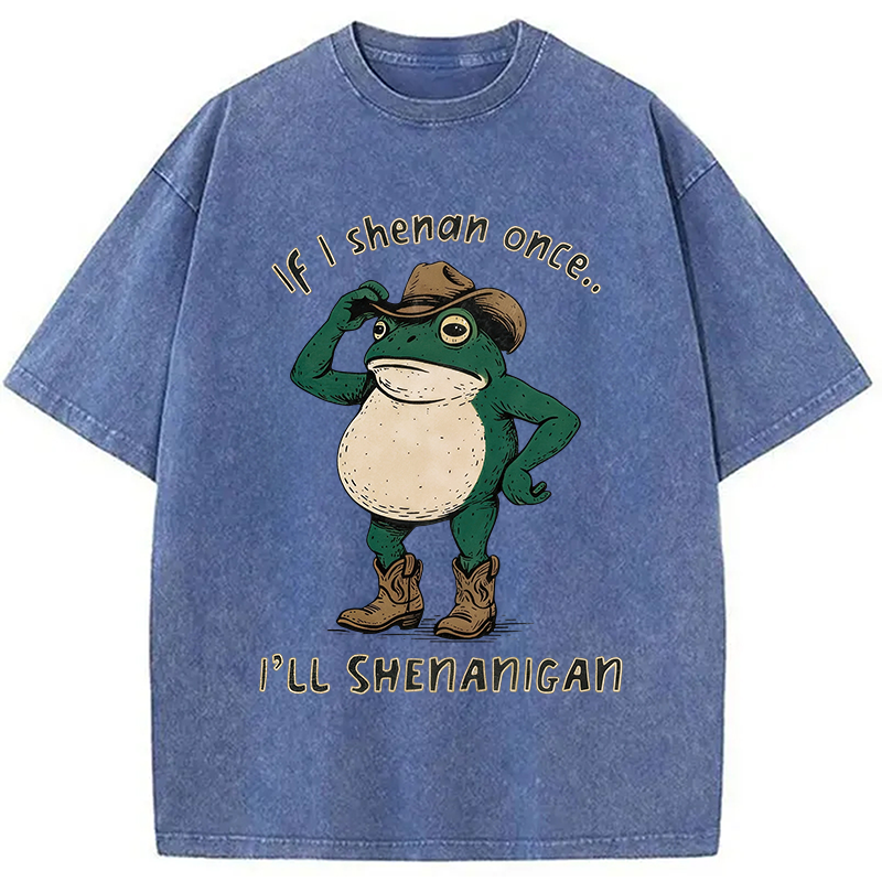 Modecanvas If I Shenan Once Funny Frog DTG Printing Washed T-Shirt