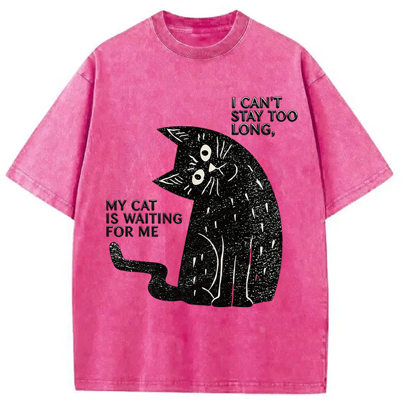 Modecanvas My Cat Is Waiting for Me Washed T-Shirt