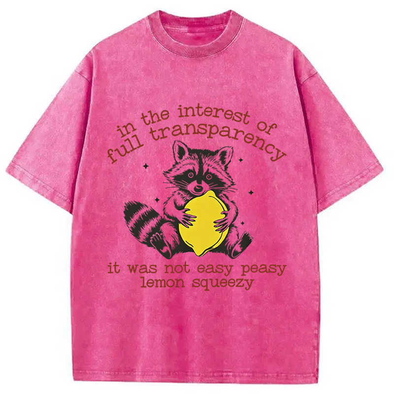 Modecanvas Racoon Lemon Squeezy DTG Printing Washed T-Shirt-modecanvas