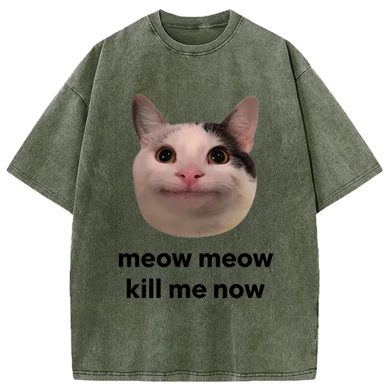 Modecanvas Meow Meow Kill Me Now Polite Cat Meme DTG Printing Washed T-Shirt
