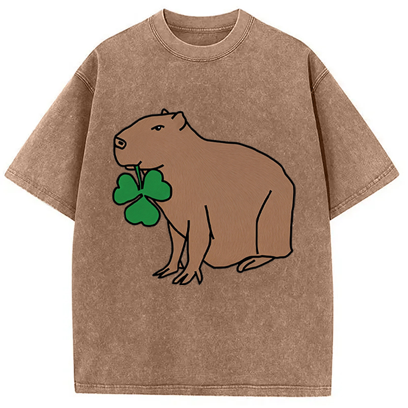 Modecanvas Cute Capybara with Shamrock DTG Printing Washed T-Shirt