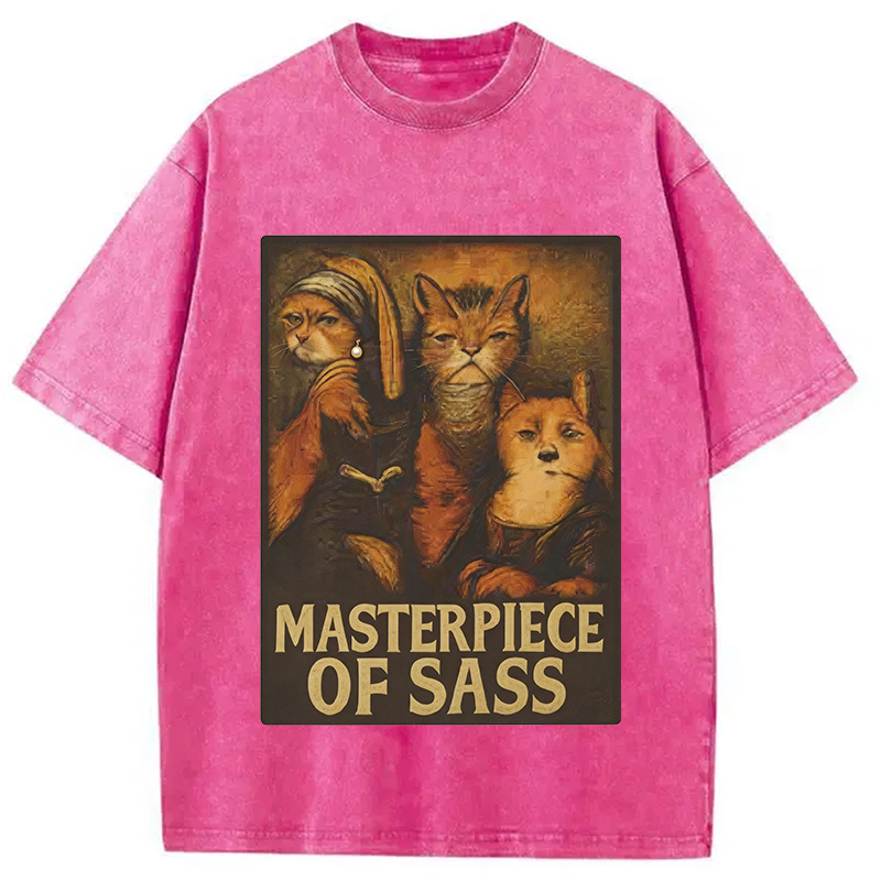 Modecanvas Funny Cat Parody DTG Printing Washed T-Shirt